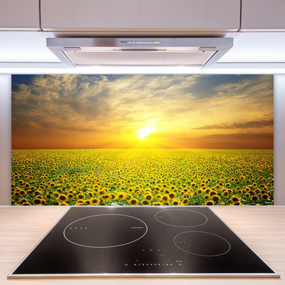 Zidna obloga za kuhinju Sun meadow sončnice