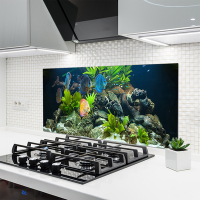 Zidna obloga za kuhinju Fish aquarium narava