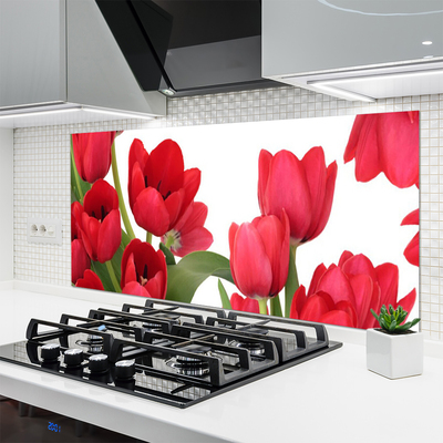 Zidna obloga za kuhinju Tulipani cvetovi rastlin