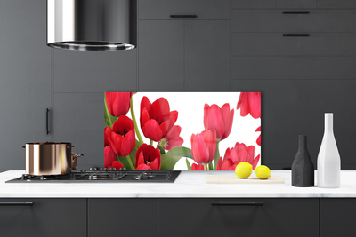 Zidna obloga za kuhinju Tulipani cvetovi rastlin