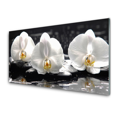 Zidna obloga za kuhinju Bela orhideja cvet