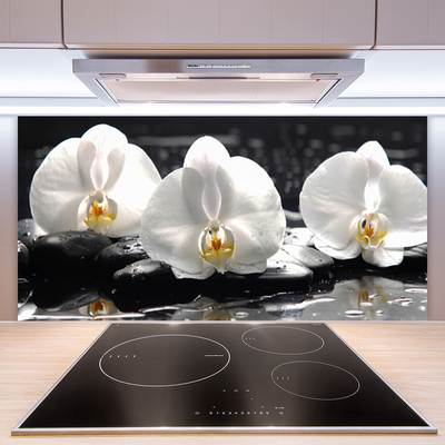 Zidna obloga za kuhinju Bela orhideja cvet