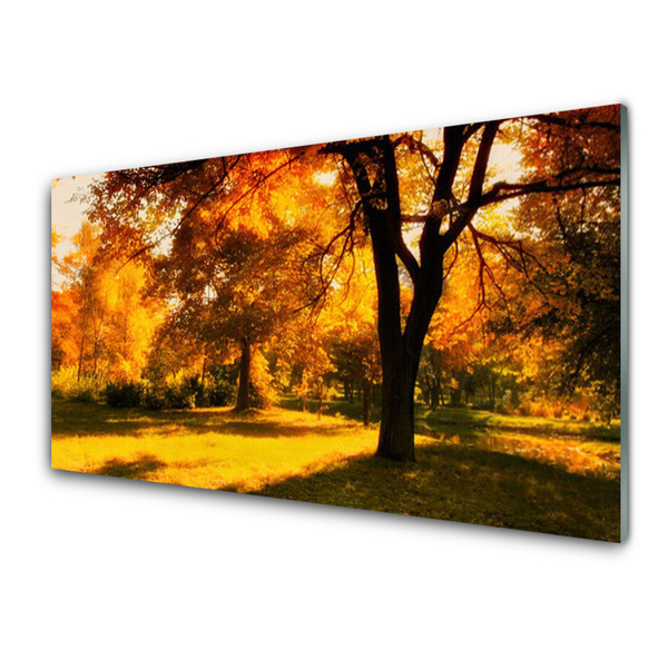 Zidna obloga za kuhinju Drevesa jesen narava
