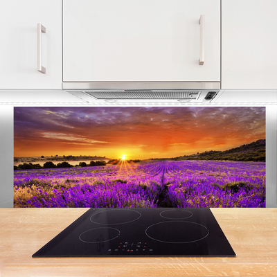 Zidna obloga za kuhinju Sunset lavender polje