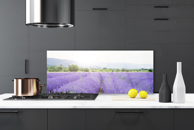Zidna obloga za kuhinju Lavender polje travnik narava