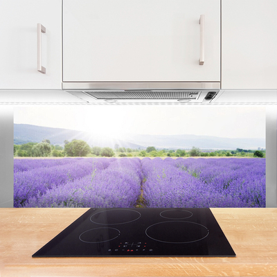 Zidna obloga za kuhinju Lavender polje travnik narava