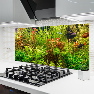 Zidna obloga za kuhinju Aquarium fish rastline