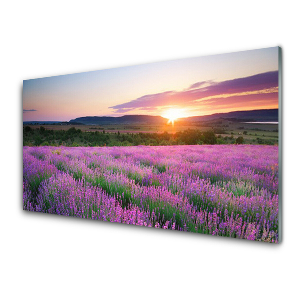Zidna obloga za kuhinju West travnik lavender polja