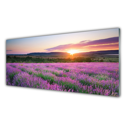 Zidna obloga za kuhinju West travnik lavender polja