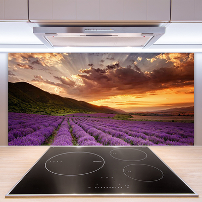Zidna obloga za kuhinju Področje lavender sunset