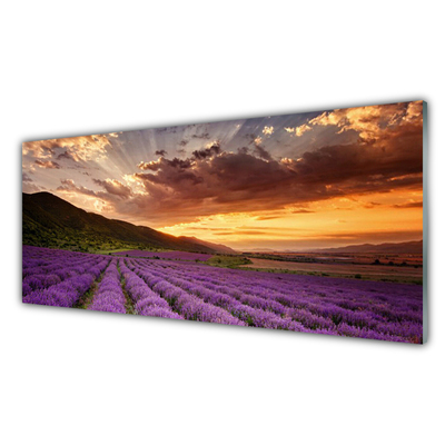 Zidna obloga za kuhinju Področje lavender sunset