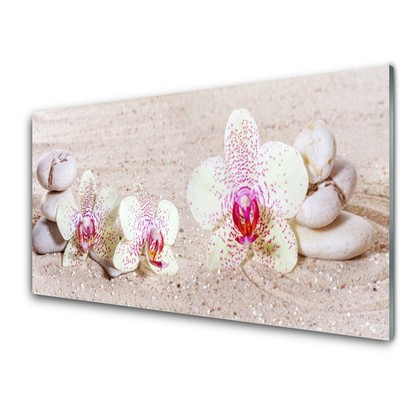 Zidna obloga za kuhinju Orchid orchid sand