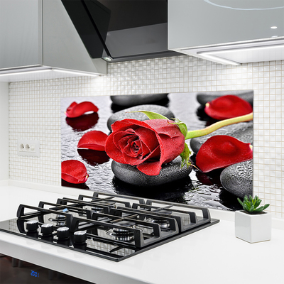 Zidna obloga za kuhinju Red rose flower