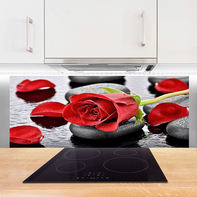 Zidna obloga za kuhinju Red rose flower