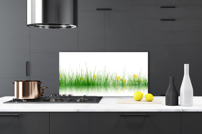 Zidna obloga za kuhinju Narava grass flowers