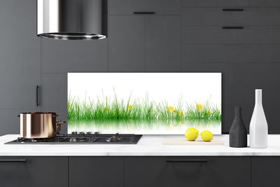 Zidna obloga za kuhinju Narava grass flowers