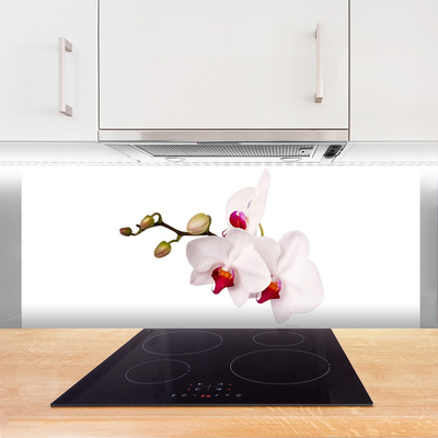 Zidna obloga za kuhinju Orhideje narava