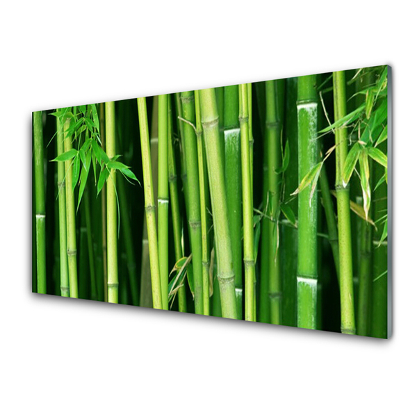 Zidna obloga za kuhinju Bamboo bamboo forest narava