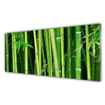 Zidna obloga za kuhinju Bamboo bamboo forest narava