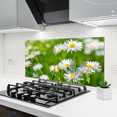Zidna obloga za kuhinju Daisy flower rastlin