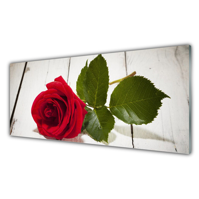 Zidna obloga za kuhinju Rose flower rastlin narava