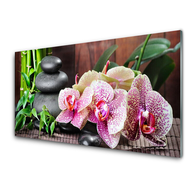 Zidna obloga za kuhinju Bamboo orchid spa