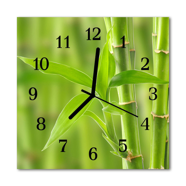Steklena kvadratna ura Bamboo rastlin