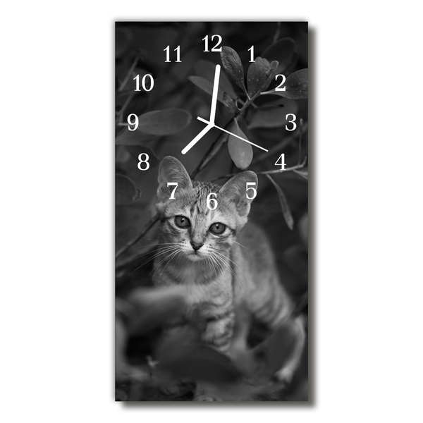 Steklena navpična ura Živali živali mačka siva