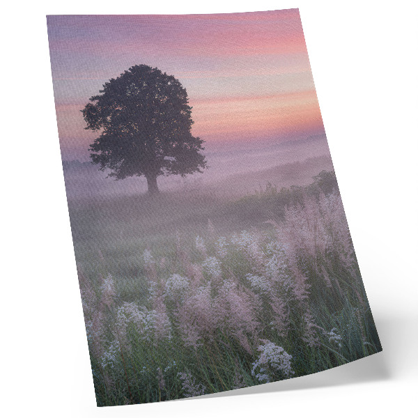 Premium stenski plakat Osamljeno drevo v megli, pastelne barve neba