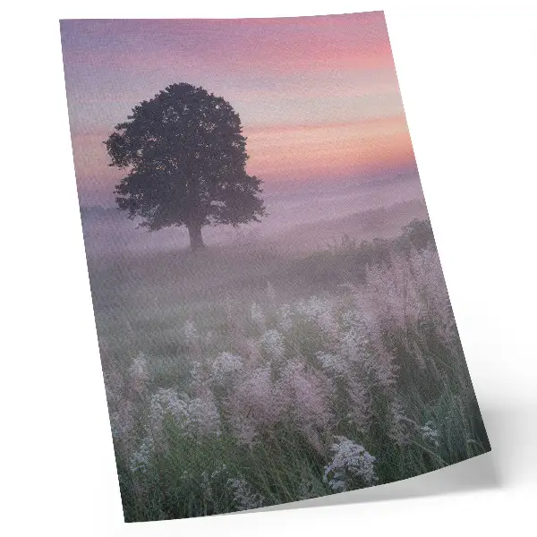 Stenski plakat osamljeno drevo v megli s pastelnim nebom