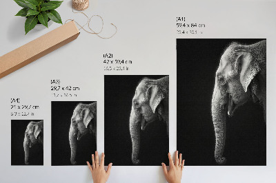 Plakat Enobarvni portret slona v profilu