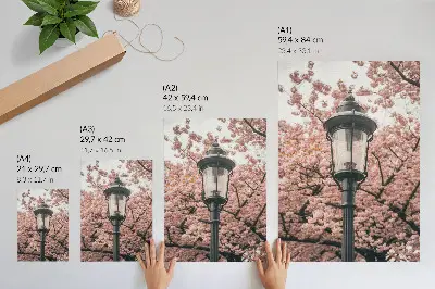 Plakat rožnata drevesa s črno svetilko v nostalgičnem vzdušju