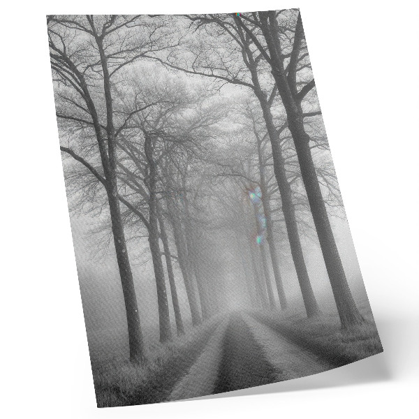 Eleganten plakat za dnevno sobo Meglena aleja dreves v modernem minimalizmu