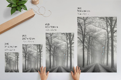 Eleganten plakat za dnevno sobo Meglena aleja dreves v modernem minimalizmu