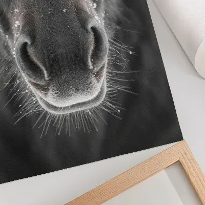 Plakat Konj v snegu fotorealističen posnetek konjskega obraza od blizu