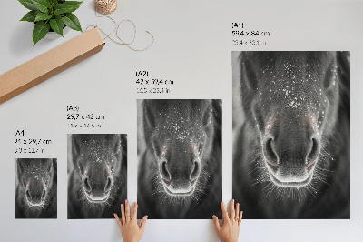 Eleganten plakat za dnevno sobo Fotorealističen posnetek konjskega obraza v snegu od blizu