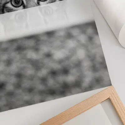 Umetniški tisk na platno mačka z motivom črno-belega minimalizma