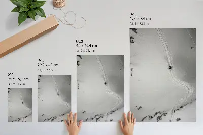 Eleganten plakat za dnevno sobo z motivom popolne geometrije gibanja, športne dinamike in zimskega prizora