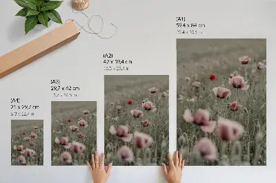 Stenski plakat pastelni maki z romantičnim motivom subtilnega cvetja