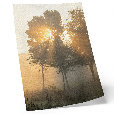 Plakat Navdih za megleno zore, topla svetloba dreves