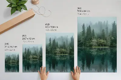 Eleganten plakat za dnevno sobo zelene gozdne globine z odsevom megle v vodi
