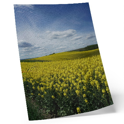Eleganten plakat za dnevno sobo Rumena polja v kontrastu z modrim nebom