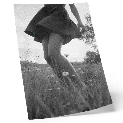 Umetniški tisk na platno črno-bela fotografija mirnega travnika v harmoniji