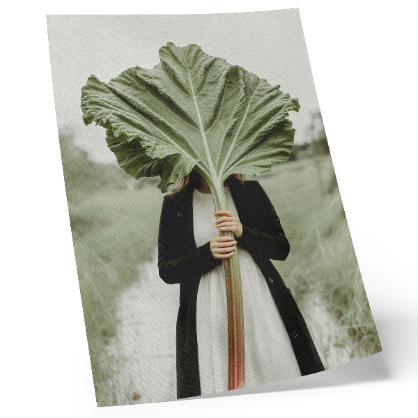 Eleganten plakat za dnevno sobo Skrivnost narave: list in figura