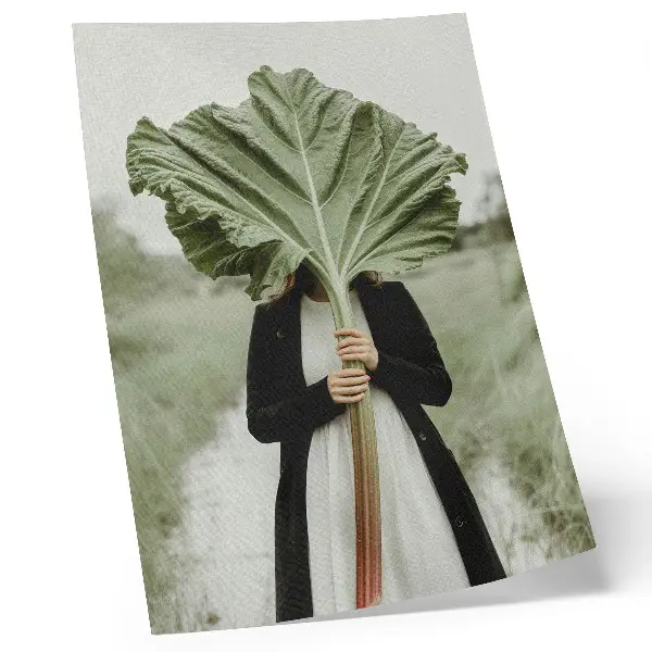 Eleganten plakat za dnevno sobo skrivnost narave z motivom lista in figure