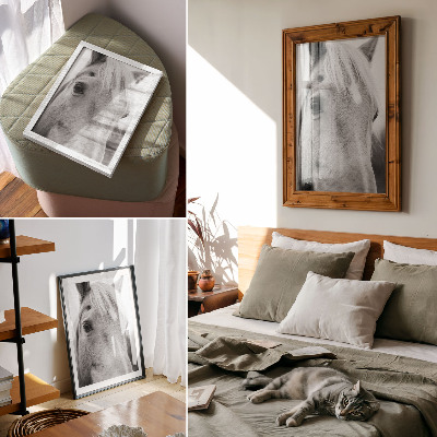 Premium stenski plakat Črno-bela eleganca konjskih oči