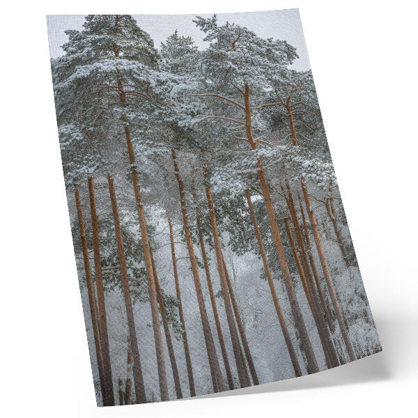 Premium stenski plakat Zimski gozd sneg drevesa mir harmonija narava