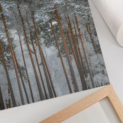 Premium stenski plakat zimski gozd s snegom in drevesi za občutek miru in harmonije v naravi