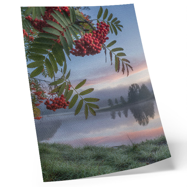 Premium stenski plakat Jezero zjutraj, jerebika, nežna megla, narava