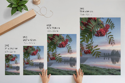 Premium stenski plakat Jezero zjutraj, jerebika, nežna megla, narava
